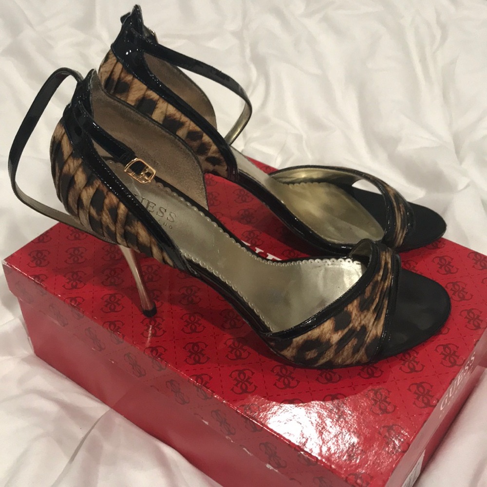 Leopard guess heals
